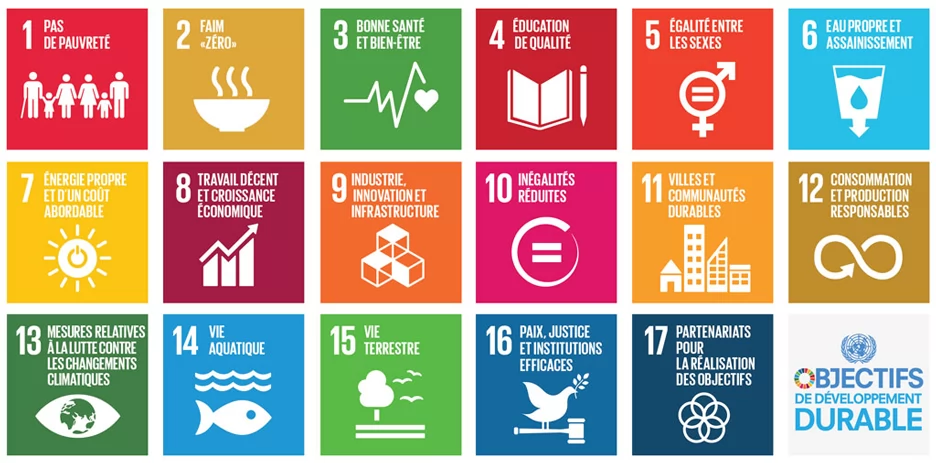 Image 17 objectifs de développement durable