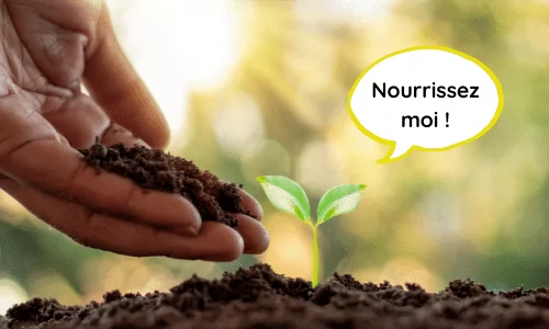 Lead Nurturing : cultivez votre jardin (de prospects) et récoltez les fruits